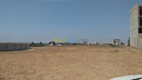 Vente Terrain Alger Rouiba