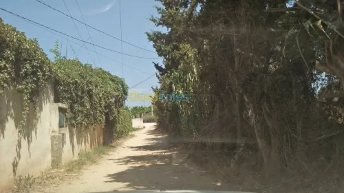 Vente Terrain Alger Rouiba