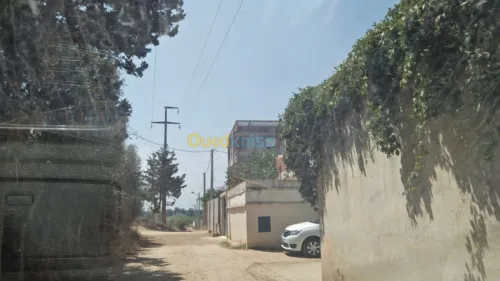 Vente Terrain Alger Rouiba