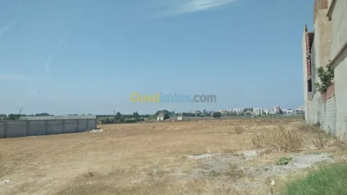 Vente Terrain Alger Rouiba