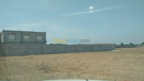 Vente Terrain Alger Rouiba