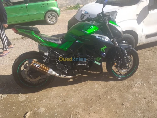 Gevati Gevati coupi z1000