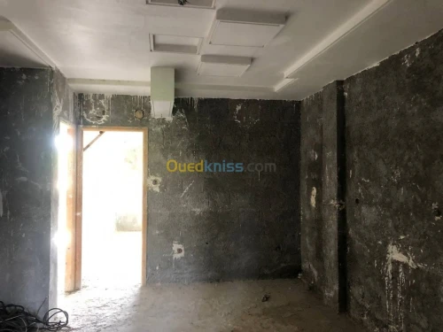 Vente Carcasse Alger Douera