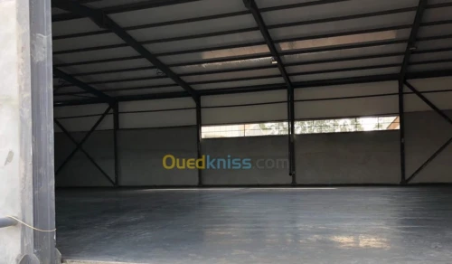 Location Hangar Blida Beni tamou
