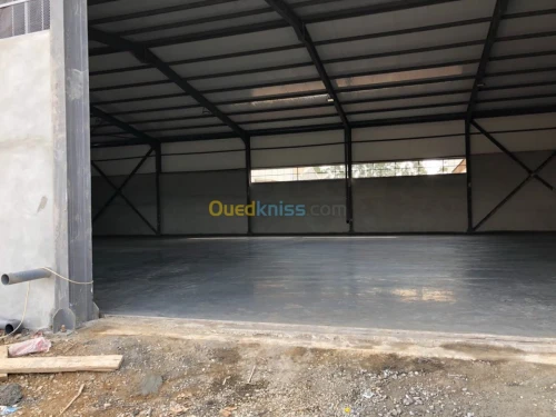 Location Hangar Blida Ouled el alleug
