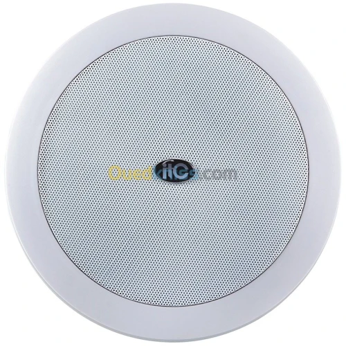 Haut-parleur de plafond T-206B