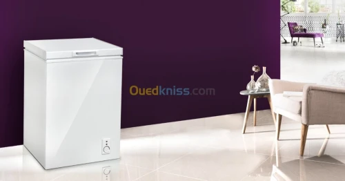 PROMOTION CONGELATEUR IRIS 100L NEW MODEL GRAINE ET 255L