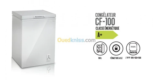 PROMOTION CONGELATEUR IRIS 100L NEW MODEL GRAINE ET 255L