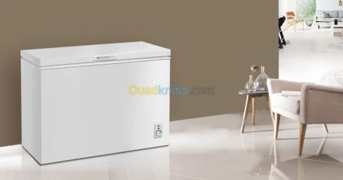 PROMOTION CONGELATEUR IRIS 100L NEW MODEL GRAINE ET 255L
