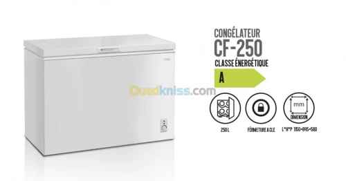 PROMOTION CONGELATEUR IRIS 100L NEW MODEL GRAINE ET 255L