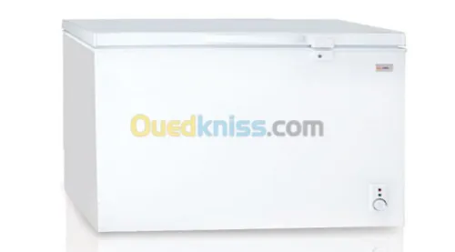PROMOTION CONGELATEUR IRIS 100L NEW MODEL GRAINE ET 255L