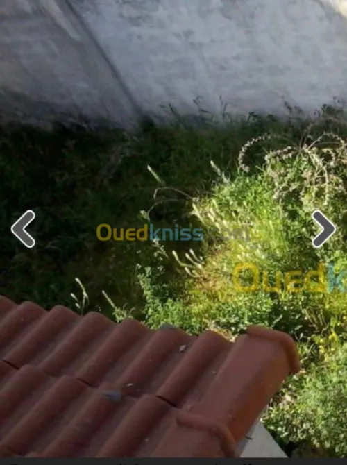 Vente Villa Tipaza Bou ismail
