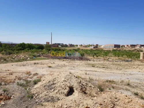 Vente Terrain Khenchela Tamza