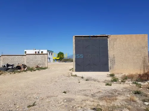 Vente Terrain Khenchela Tamza
