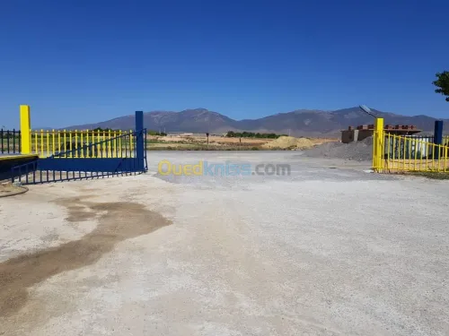 Vente Terrain Khenchela Tamza