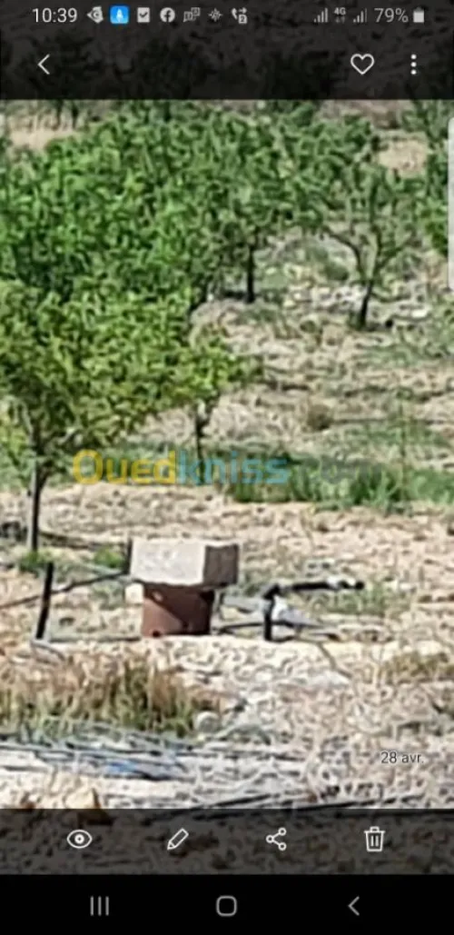 Vente Terrain Khenchela Tamza