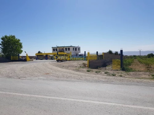 Vente Terrain Khenchela Tamza