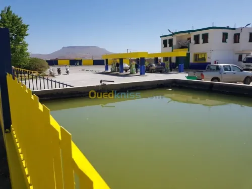 Vente Terrain Khenchela Tamza