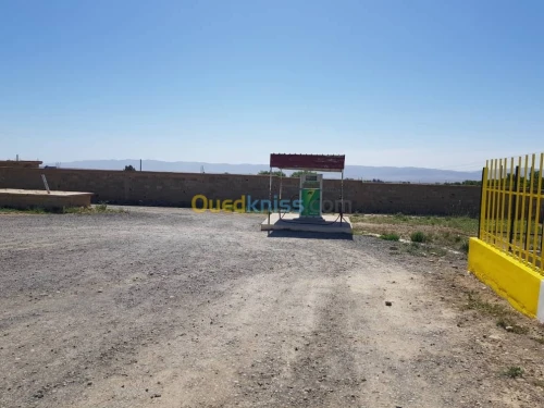 Vente Terrain Khenchela Tamza