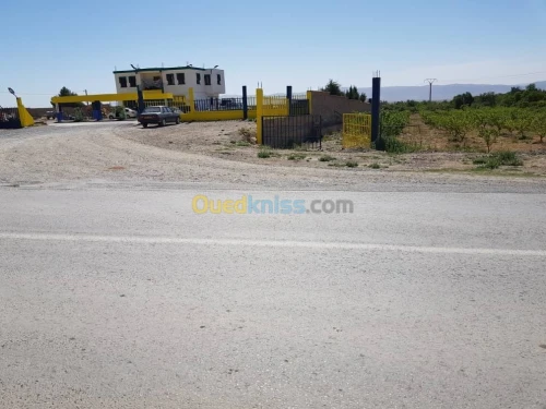 Vente Terrain Khenchela Tamza
