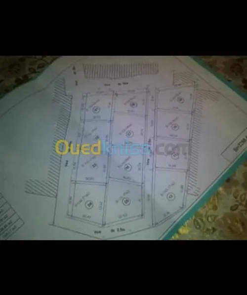 Vente Terrain Tlemcen Tlemcen