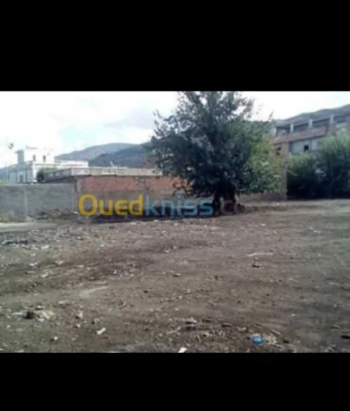 Vente Terrain Tlemcen Tlemcen