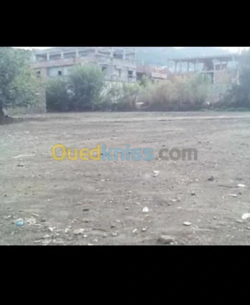 Vente Terrain Tlemcen Tlemcen