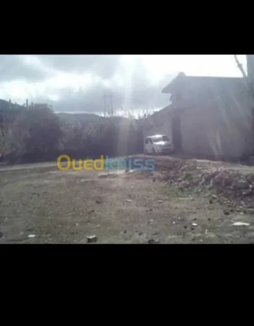Vente Terrain Tlemcen Tlemcen