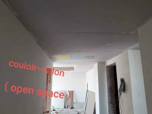 Placoplatre faux plafond cloison decor