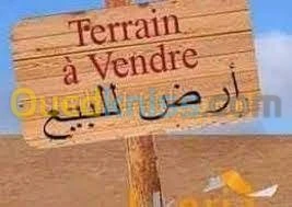 Vente Terrain Ain temouchent Beni saf