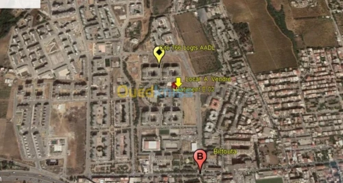 Vente Local Alger Douera