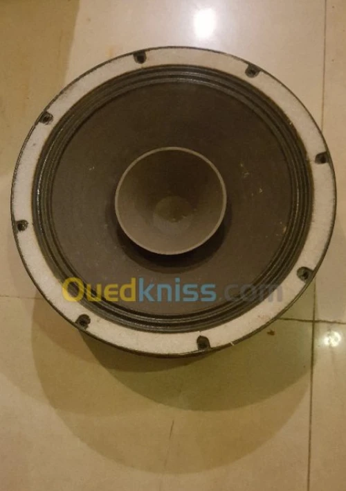 Boomer Haut parleur L12 / 160 