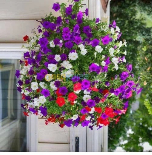 aménagement et Entretien des Espaces v