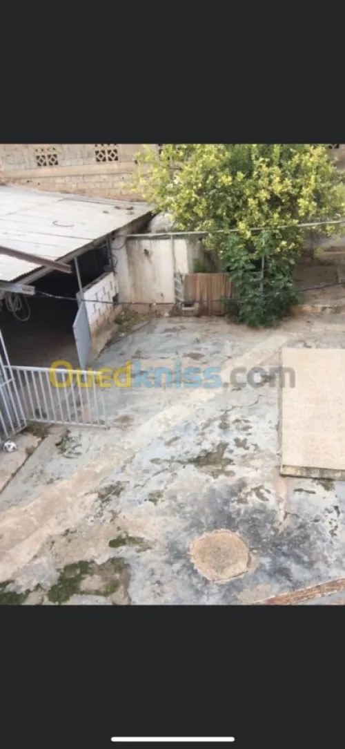 Vente Villa Mascara Ain fekan