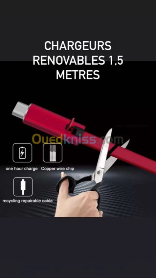 Chargeurs recyclables (renovables)