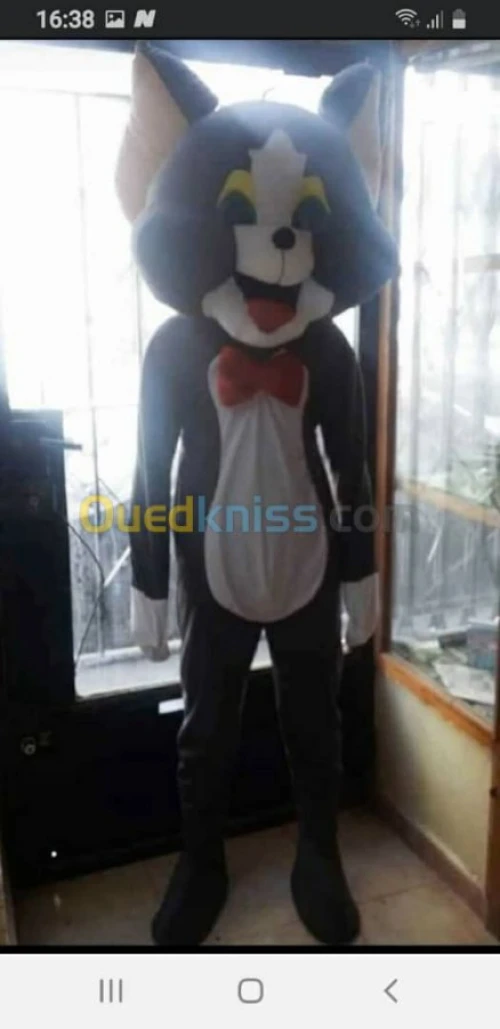 Mascotte et déguisement 