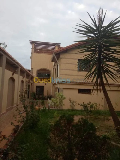Vente Villa Alger Ain taya
