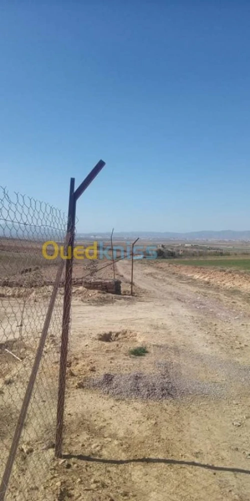 Vente Terrain Bordj bou arreridj El hamadia