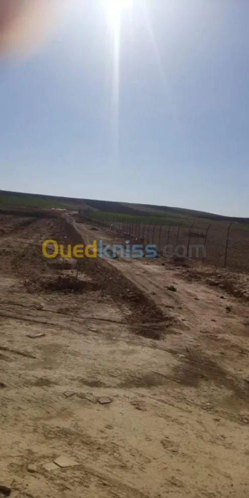 Vente Terrain Bordj bou arreridj El hamadia