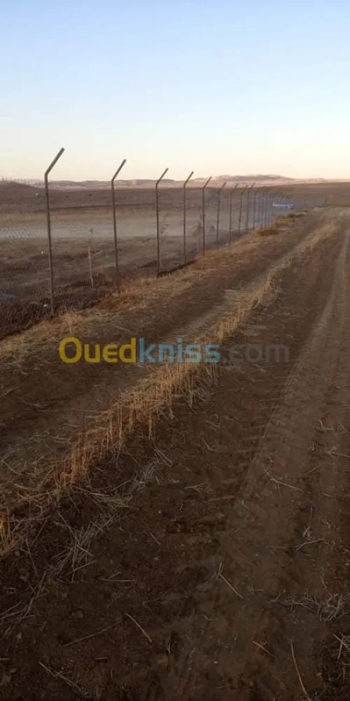 Vente Terrain Bordj bou arreridj El hamadia