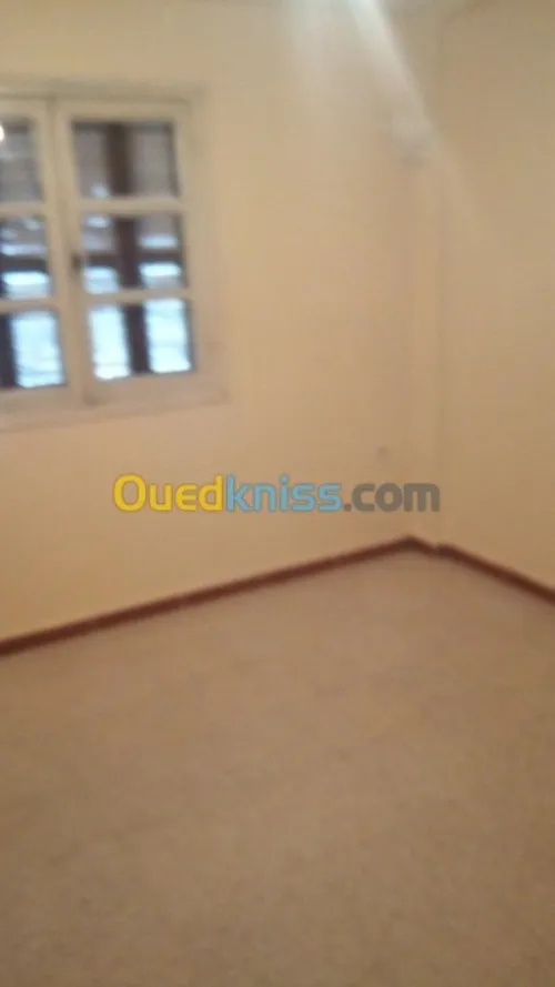 Location Appartement F4 Skikda Skikda