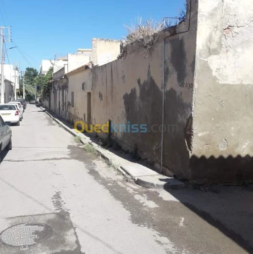 Vente Villa Tipaza Cherchell
