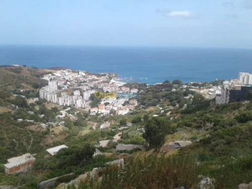Vente Terrain Annaba Annaba
