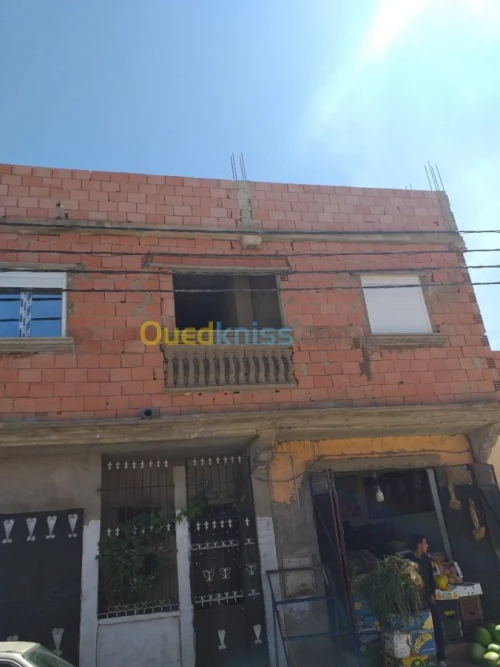 Vente Terrain Sidi bel abbes Hassi dahou
