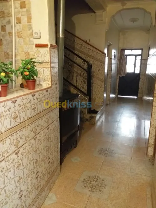 Vente Terrain Sidi bel abbes Hassi dahou