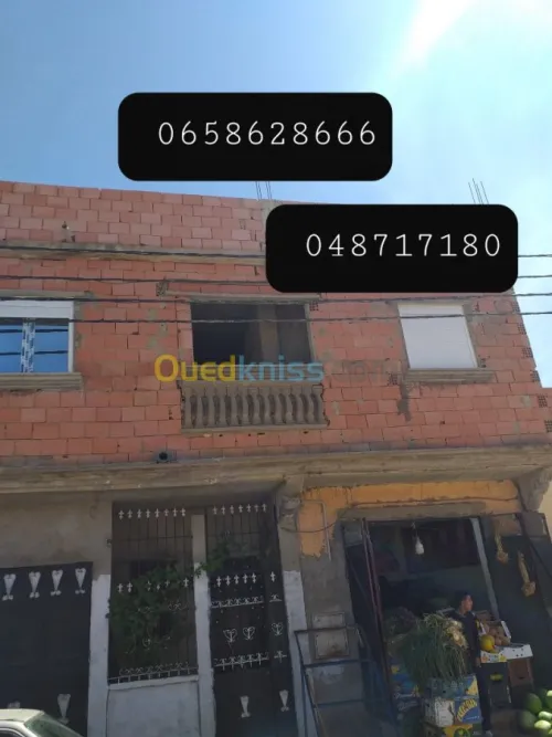 Vente Terrain Sidi bel abbes Hassi dahou