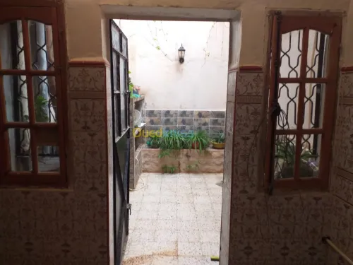Vente Terrain Sidi bel abbes Hassi dahou