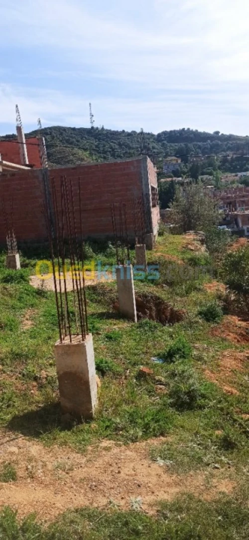 Vente Terrain Blida Mouzaia