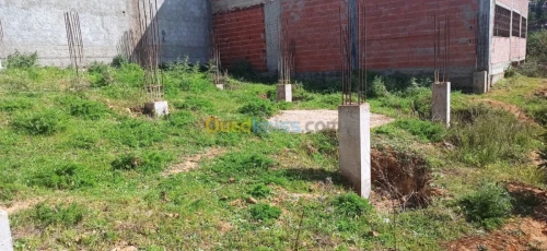 Vente Terrain Blida Mouzaia