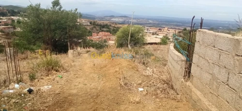 Vente Terrain Blida Mouzaia